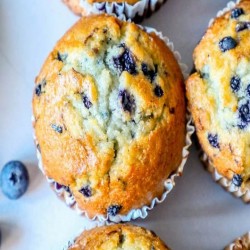 MUFFIN BLUEBERRY 100gr (24τμχ)